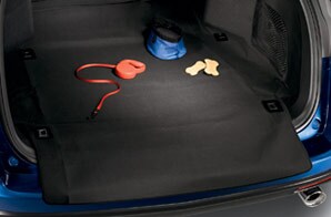 Cargo Liner